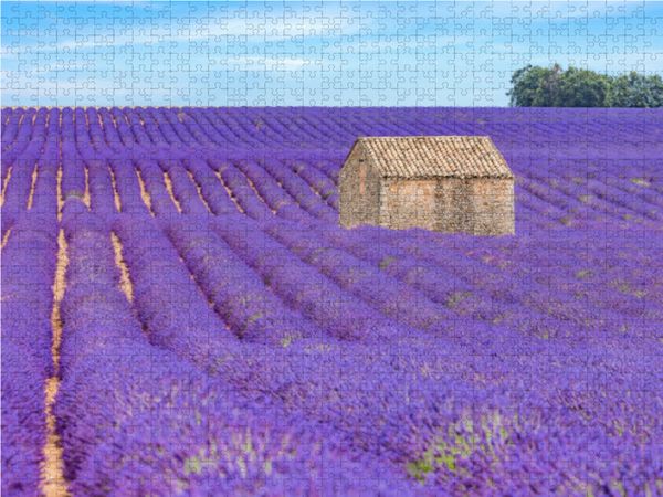 Produktbild: CALVENDO Puzzle Ein Motiv aus dem Kalender Provence, Lavendelzeit in S&uuml;dfrankreich | 1000 Teile Lege-Gr&ouml;&szlig;e 64x48cm Foto-Puzzle f&uuml;r gl&uuml;ckliche Stunden