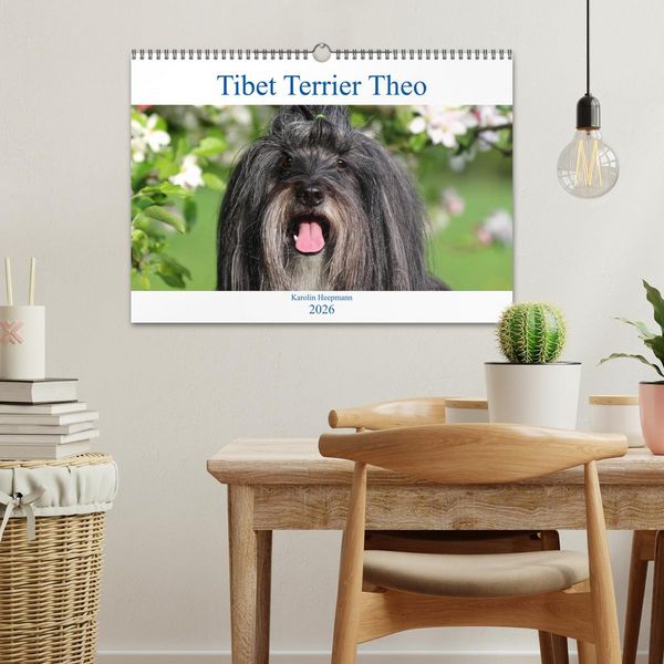Produktbild: Tibet Terrier Theo (Wandkalender 2026 DIN A3 quer), CALVENDO Monatskalender