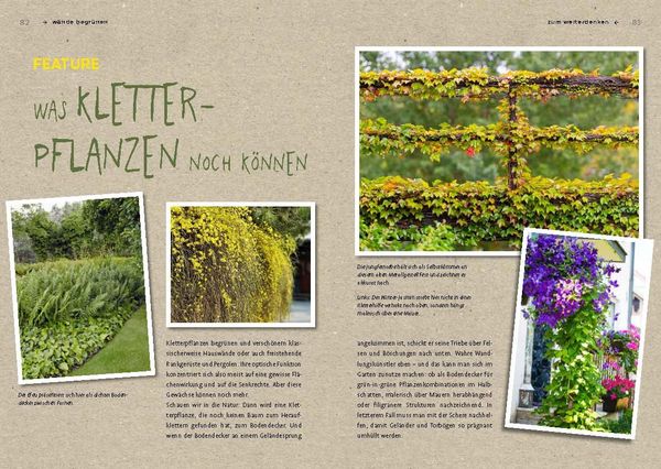 Produktbild: Begr&uuml;nen was geht