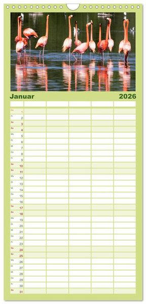 Produktbild: Familienplaner 2026 - Kuba - Ein ganzes Jahr Karibikflair mit 5 Spalten (Wandkalender, 21 x 45 cm) CALVENDO