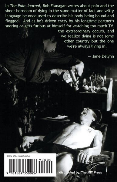 Produktbild: The Pain Journal