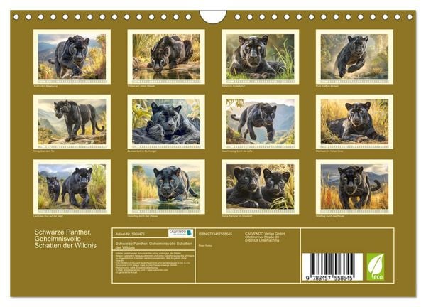 Produktbild: Schwarze Panther. Geheimnisvolle Schatten der Wildnis (Wandkalender 2026 DIN A4 quer), CALVENDO Monatskalender