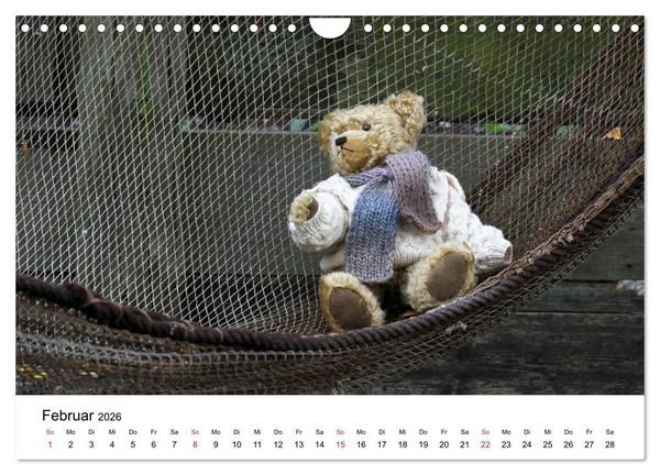 Produktbild: Teddys...jeder liebt sie (Wandkalender 2026 DIN A4 quer), CALVENDO Monatskalender