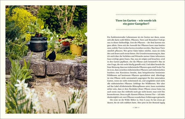 Produktbild: Einfach g&auml;rtnern! Naturnah und nachhaltig