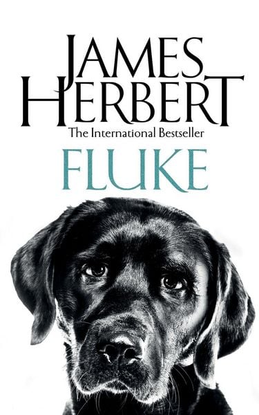 Produktbild: Fluke