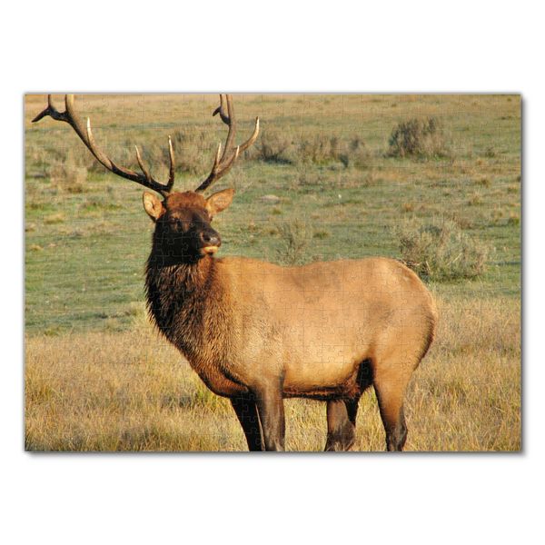 Produktbild: Lais Puzzle Hirsch 500 Teile
