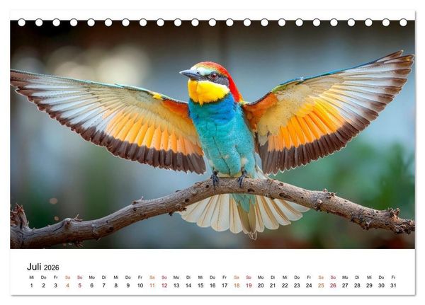 Produktbild: Bienenfresser - im Flug der Farben (Tischkalender 2026 DIN A5 quer), CALVENDO Monatskalender