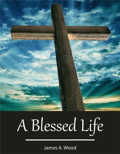 Produktbild: A Blessed Life