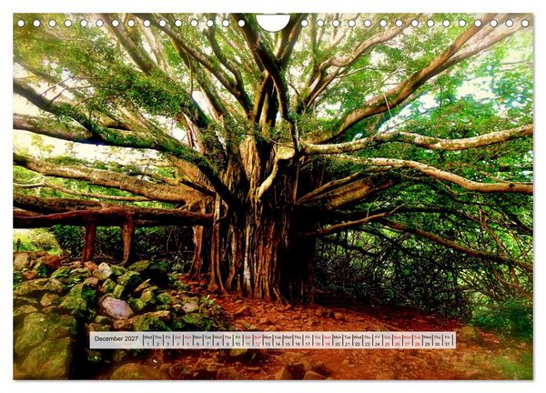 Produktbild: Aloha Spirit &ndash; The Magic of Hawaii (Wall Calendar 2027 DIN A4 landscape), CALVENDO 12 Month Wall Calendar