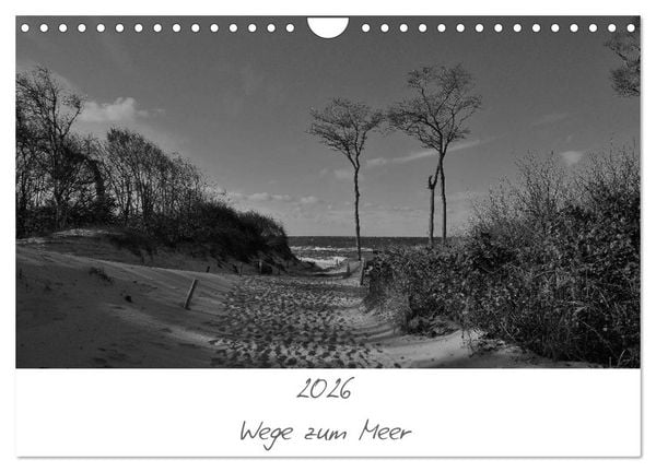 Produktbild: Wege zum Meer (Wandkalender 2026 DIN A4 quer), CALVENDO Monatskalender
