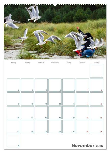Produktbild: Ostseebad Prerow - Dar&szlig;er Momente - Terminplaner (hochwertiger Premium Wandkalender 2026 DIN A2 hoch), Kunstdruck in Hochglanz