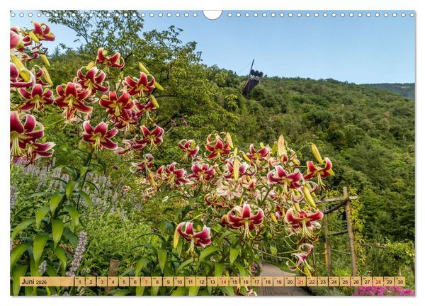 Produktbild: S&uuml;dtirol - Meraner Land (Wandkalender 2026 DIN A3 quer), CALVENDO Monatskalender