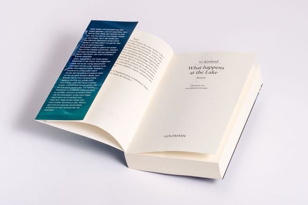 Produktbild: What happens at the Lake