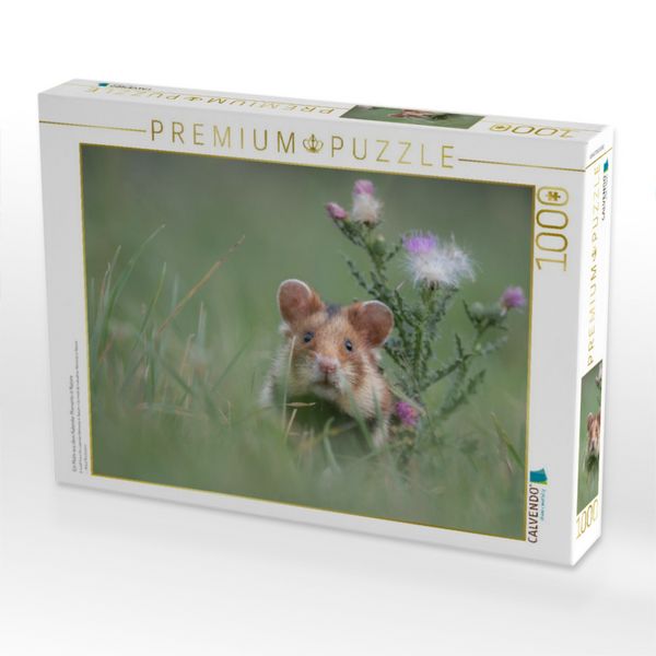 Produktbild: CALVENDO Puzzle Ein Motiv aus dem Kalender Moments in Nature | 1000 Teile Lege-Gr&ouml;&szlig;e 64x48cm Foto-Puzzle f&uuml;r gl&uuml;ckliche Stunden