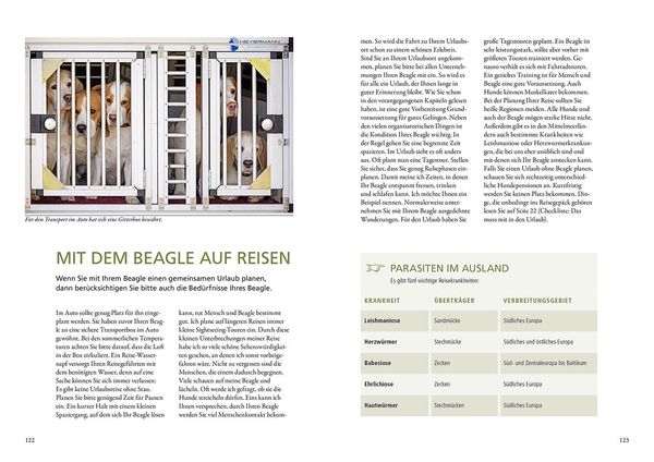 Produktbild: Beagle