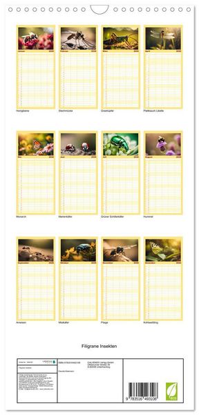 Produktbild: Familienplaner 2026 - Filigrane Insekten mit 5 Spalten (Wandkalender, 21 x 45 cm) CALVENDO