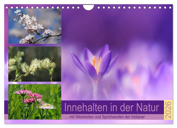 Produktbild: Innehalten in der Natur ... mit Weisheiten und Sprichworten der Indianer (Wandkalender 2026 DIN A4 quer), CALVENDO Monatskalender
