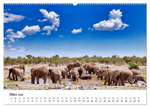 Produktbild: Namibias Elefanten (Wandkalender 2026 DIN A2 quer), CALVENDO Monatskalender