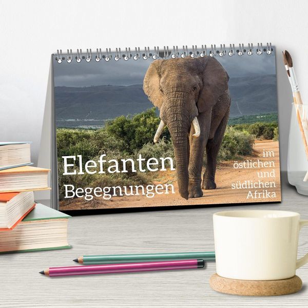 Produktbild: Elefanten Begegnungen im &ouml;stlichen und s&uuml;dlichen Afrika (Tischkalender 2026 DIN A5 quer), CALVENDO Monatskalender