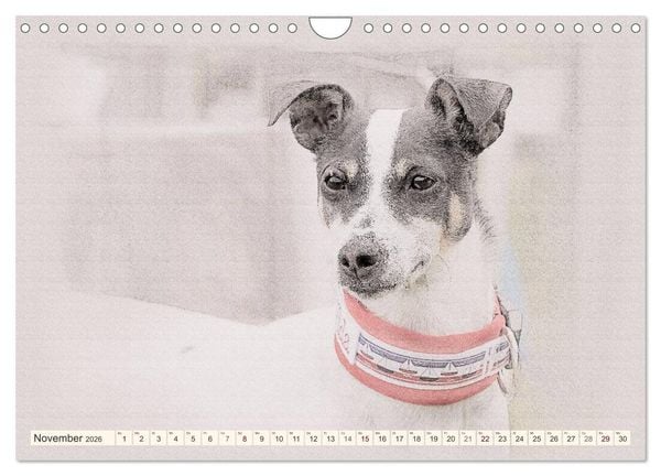 Produktbild: Bodeguero Andaluz 2026 (Wandkalender 2026 DIN A4 quer), CALVENDO Monatskalender