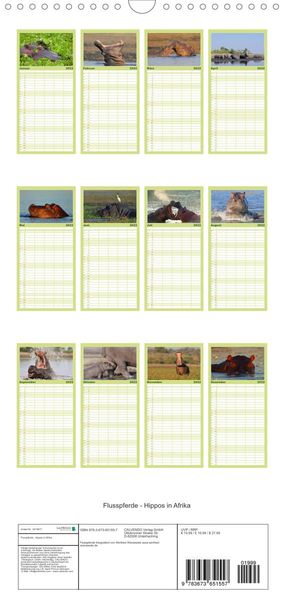 Produktbild: Flusspferde Magie des Augenblicks - Hippos in Afrika - Familienplaner hoch (Wandkalender 2022 , 21 cm x 45 cm, hoch)