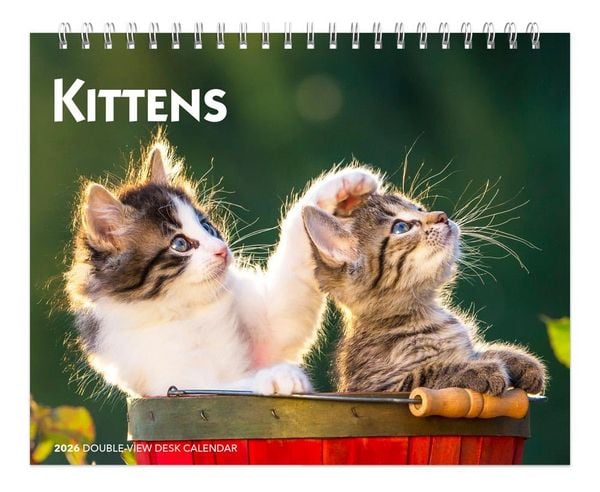 Produktbild: Kittens 2026 7.5 X 6 Inch Monthly Double-View Easel Desk Calendar