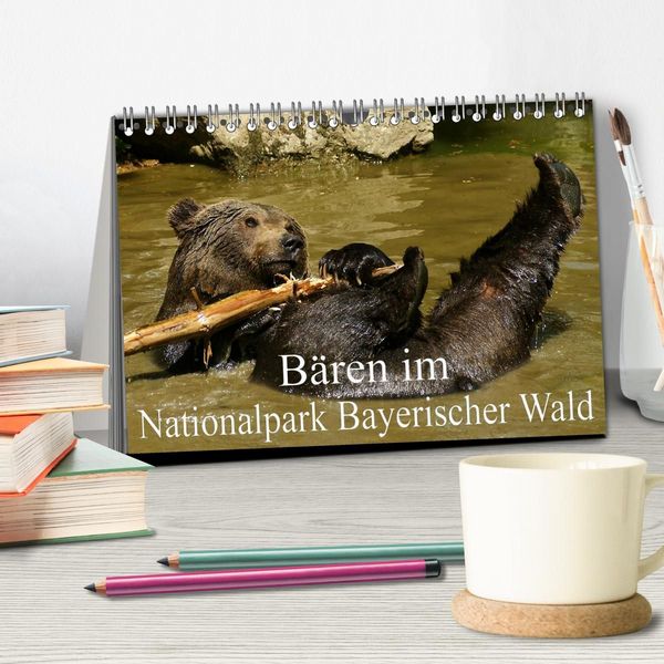 Produktbild: B&auml;ren im Nationalpark Bayerischer Wald (Tischkalender 2027 DIN A5 quer), CALVENDO Monatskalender