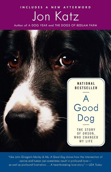 Produktbild: A Good Dog