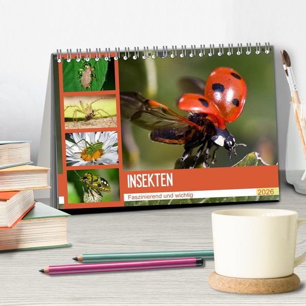 Produktbild: Insekten. Faszinierend und wichtig (Tischkalender 2026 DIN A5 quer), CALVENDO Monatskalender