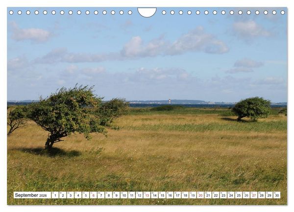 Produktbild: Orte an der Schlei (Wandkalender 2026 DIN A4 quer), CALVENDO Monatskalender