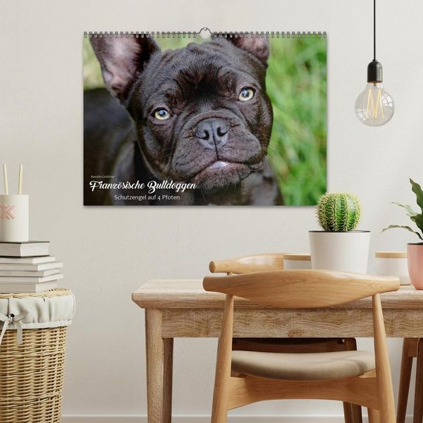 Produktbild: Franz&ouml;sische Bulldoggen - Schutzengel auf 4 Pfoten (Wandkalender 2026 DIN A3 quer), CALVENDO Monatskalender