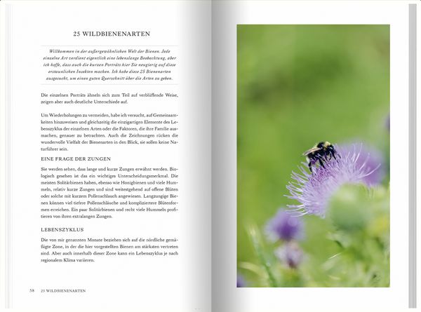 Produktbild: Unsere Wildbienen