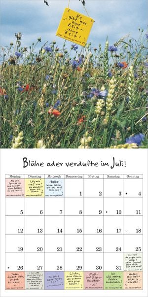 Produktbild: Schild-B&uuml;rger-Streiche 2027