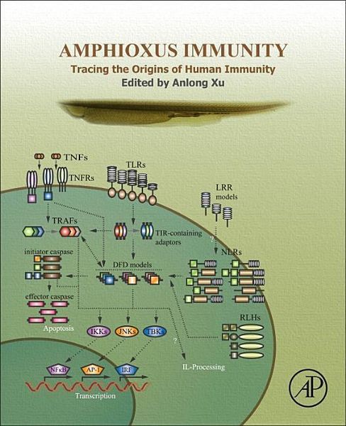 Produktbild: Xu, A: Amphioxus Immunity