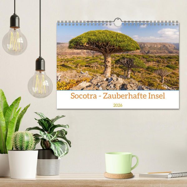 Produktbild: Socotra - Zauberhafte Insel (Wandkalender 2026 DIN A4 quer), CALVENDO Monatskalender