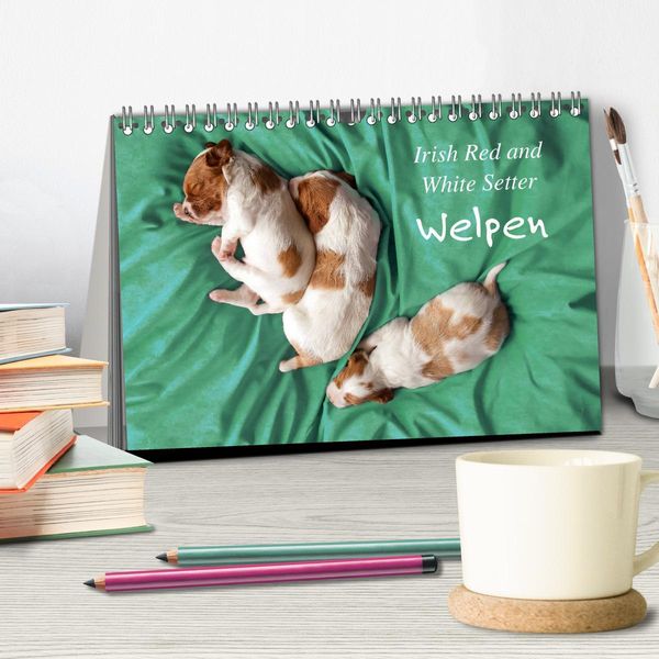 Produktbild: Irish Red and White Setter Welpen (Tischkalender 2026 DIN A5 quer), CALVENDO Monatskalender