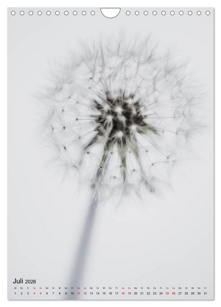 Produktbild: Pure Flowers (Wandkalender 2026 DIN A4 hoch), CALVENDO Monatskalender