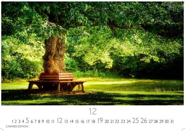 Produktbild: Englische G&auml;rten Kalender 2027 &ndash; Wandkalender | Fotokalender Naturkalender England 24x35cm - Naturfotos - Inspiration f&uuml;r Gartenliebhaber &ndash; Perfekt f&uuml;r Naturerlebnis & botanische Sch&ouml;nheit