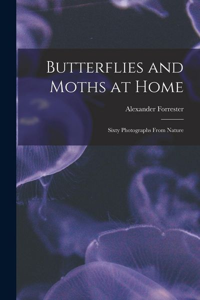 Produktbild: Butterflies and Moths at Home: Sixty Photographs From Nature