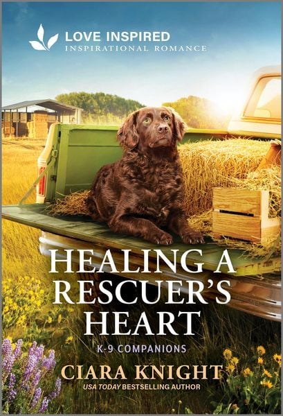 Produktbild: Healing a Rescuer's Heart