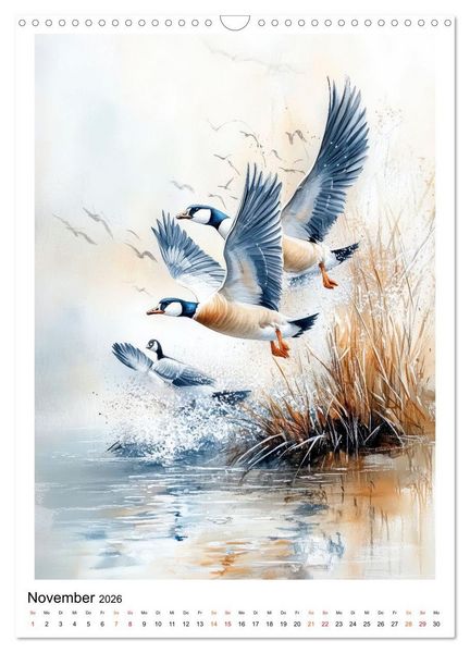 Produktbild: V&ouml;gel - gefiederte Freunde in Wald und Feld (Wandkalender 2026 DIN A3 hoch), CALVENDO Monatskalender