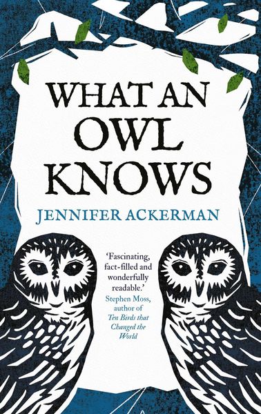 Produktbild: What an Owl Knows