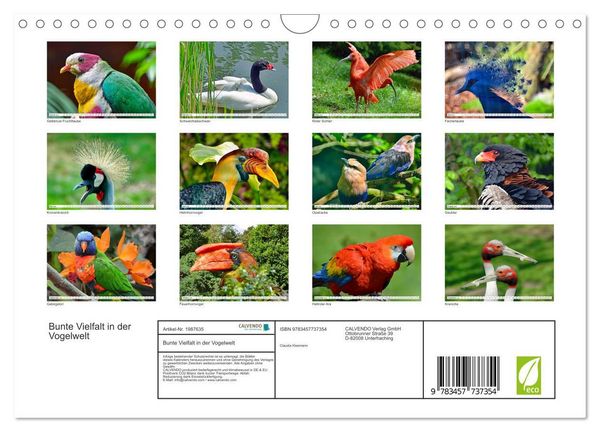 Produktbild: Bunte Vielfalt in der Vogelwelt (Wandkalender 2026 DIN A4 quer), CALVENDO Monatskalender