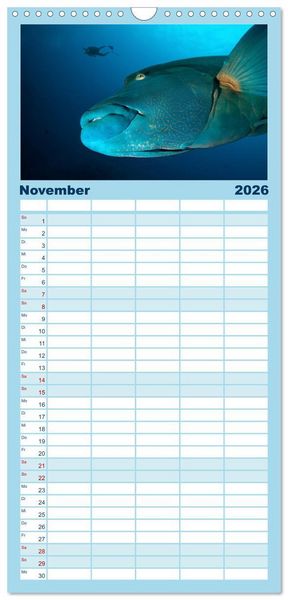 Produktbild: Familienplaner 2026 - Faszination Tauchen - Neptuns Reich mit 5 Spalten (Wandkalender, 21 x 45 cm) CALVENDO