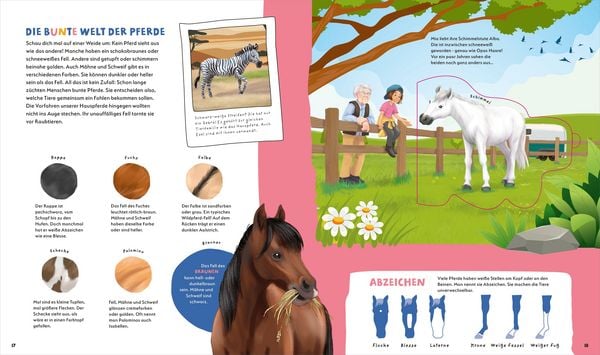 Produktbild: WAS IST WAS Kids Pferde und Ponys. Wild, stark und einfach toll!