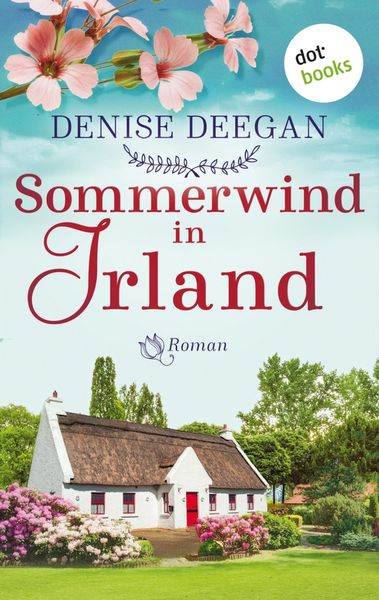 Produktbild: Sommerwind in Irland - oder: Zwischen dir und mir der Himmel