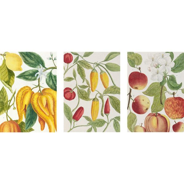 Produktbild: Botanical Art Notebook Set - Lemon, Chillis and Apples
