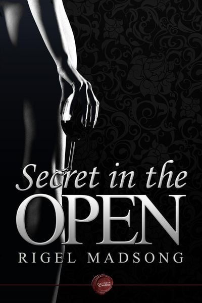 Produktbild: Secret in the Open