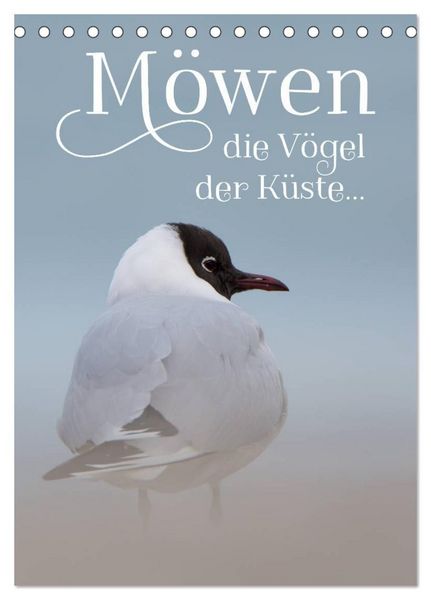 Produktbild: M&ouml;wen - die V&ouml;gel der K&uuml;ste (Tischkalender 2027 DIN A5 hoch), CALVENDO Monatskalender