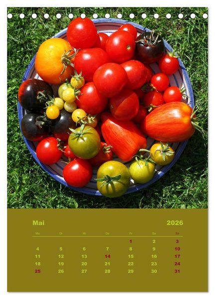 Produktbild: Tomaten - Alles BIO! (Tischkalender 2026 DIN A5 hoch), CALVENDO Monatskalender